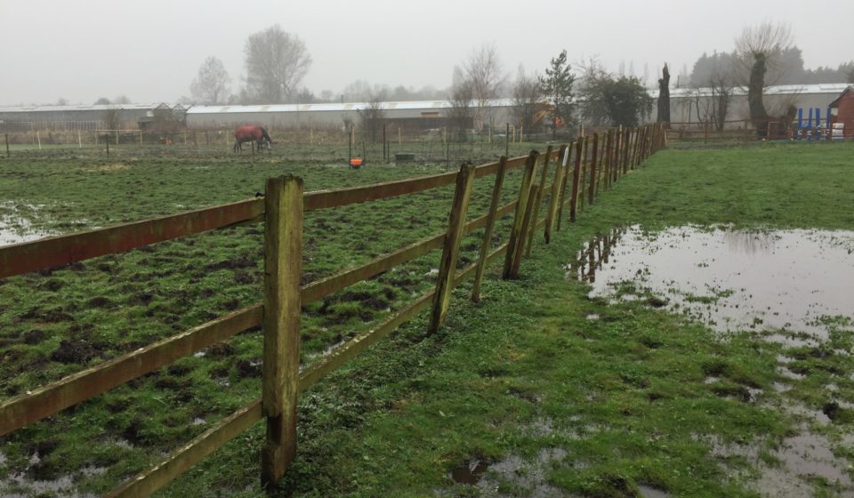 22 x 42m Equestrian Arena With Silica Sand & Stabilising Fibre Surface