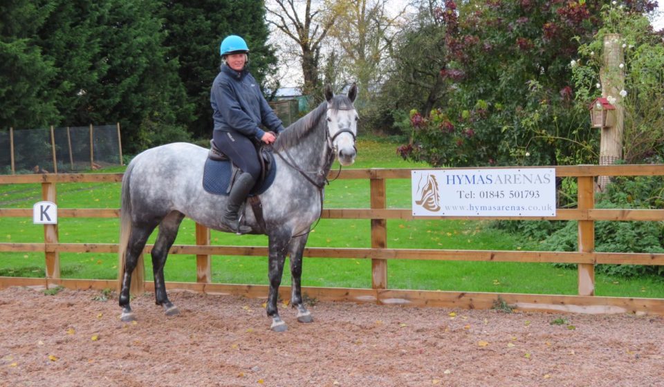22 x 42m Equestrian Arena With Silica Sand & Stabilising Fibre Surface